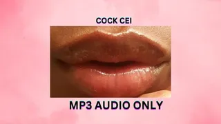 COCK CEI *MP3*