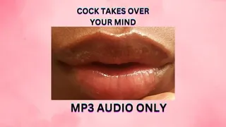 COCK TAKES OVER YOUR MIND *MP3*