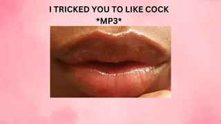 I TRICKED YOU TO LIKE COCK *MP3*