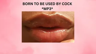 BORN TO BE USED BY COCK *MP3*