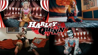 Harley Quinn Compilation