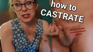 How to Castrate: a Gelding discussion with my Eunuch