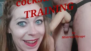 Sissy Cock Sucking Training