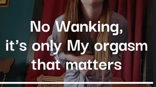 No Wanking, only Mistress's Orgasm matters