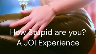 How stupid are you? A JOI experience.