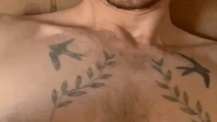 Hairy armpits, chest and and trail