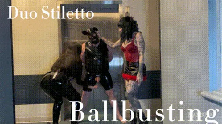 Duo Domme, Stiletto Heels Ballbusting
