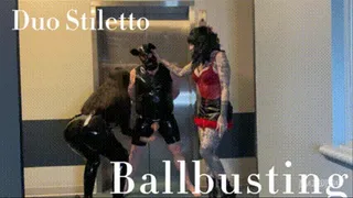 Duo Domme, Stiletto Heels Ballbusting