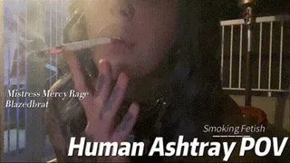 Human Ashtray POV