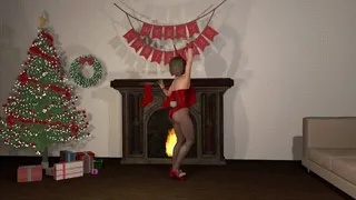 Merry Christmas Bunny Dancing and Domination