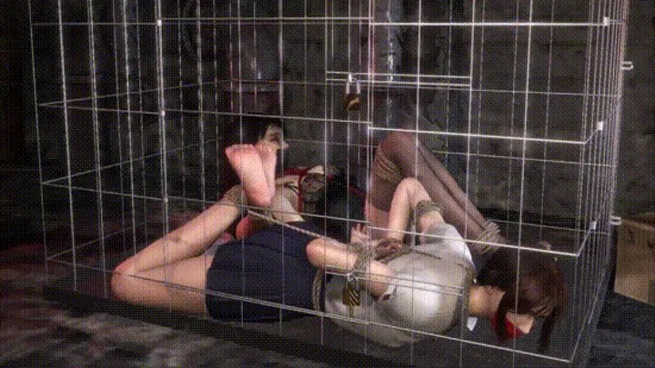 Double Ladies Friend Domination in the Cage