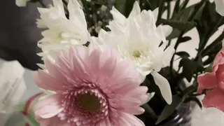 Flowers always making me sneeze