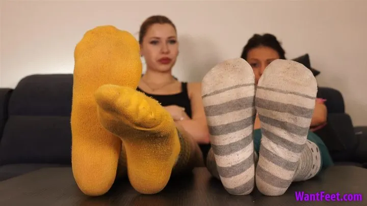 Sniff the Socks