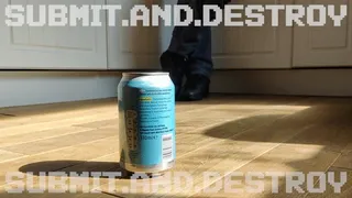 #4 Submitting and destroying cans