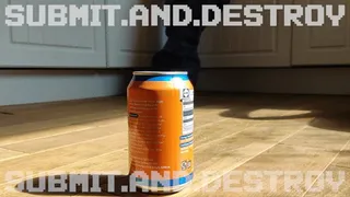 #3 Submitting and destroying cans