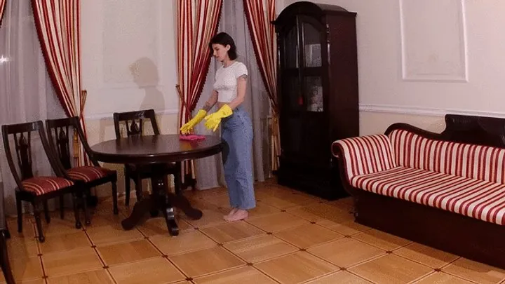 Sexy cleaning lady