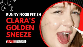Clara's Golden Sneezes: A Nose's Tale
