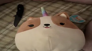 Squishmallow Gets a Happy Ending