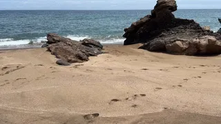 Compilation girl public pee in sand on public beach