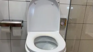 Compilation pissing girl in toilet