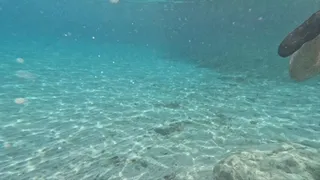 Girl handjob stranger underwater and he cum