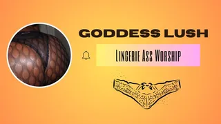 Lingerie Domination: Worship My Perfect Ass