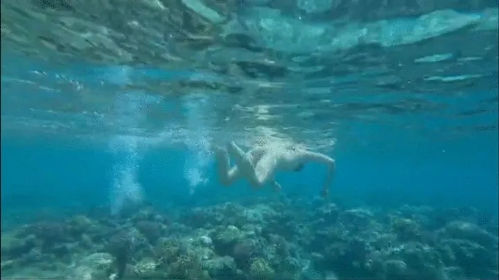 under water swimming, snorkeling