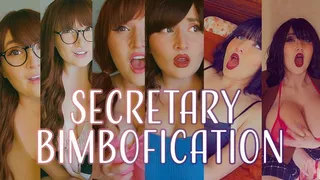 Executive Assistant to Sexcretary Slut