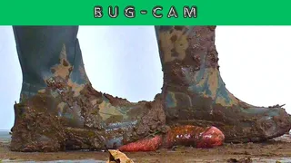 Stomping His Cock & Balls Under My Muddy Boots - Bug Cam - AmbersCBT - 86BC