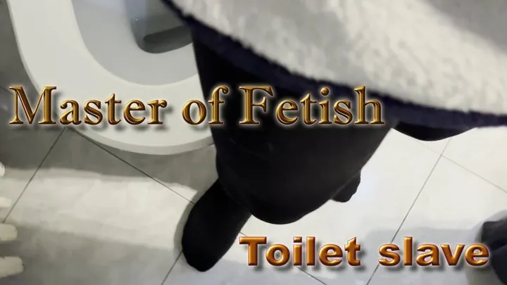 Toilet slave