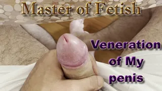 Veneration of My penis