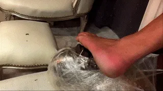 Total immobilization of the slave (smells feet and ass)