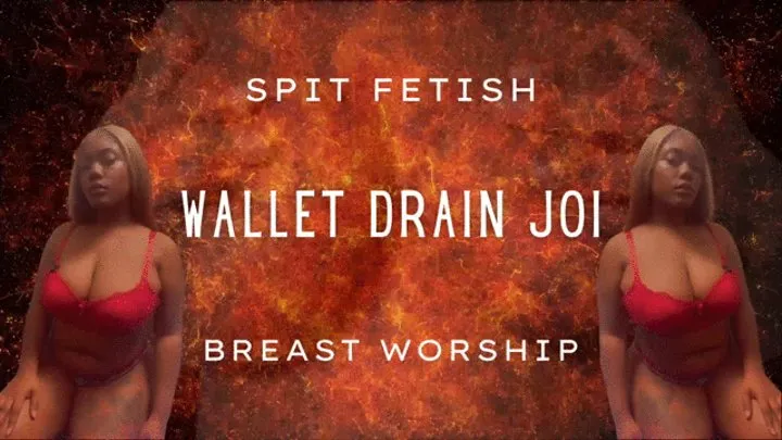 Wallet Drain JOI