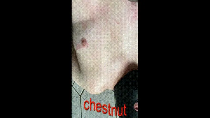 Chestnut on your Skin