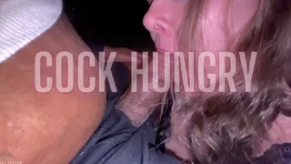Malvalpal Cock Hungry
