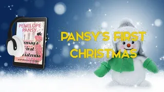 Pansy's First Christmas - an ABDL Sissy Baby story