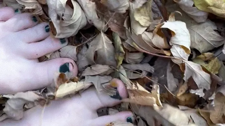 Crunching Leaves Barefoot