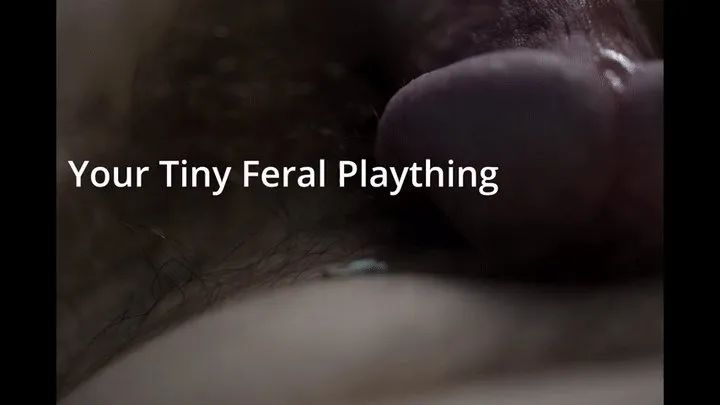 Giantess Cassie - Your Tiny Feral Plaything (Augmented Reality Audio)