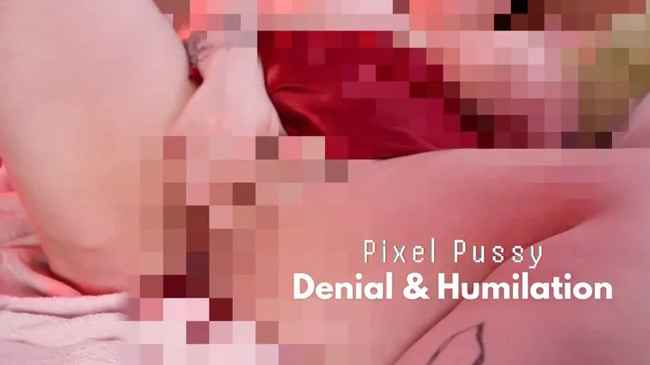 PIXEL PUSSY DENIAL AND HUMILIATION CUSTOM