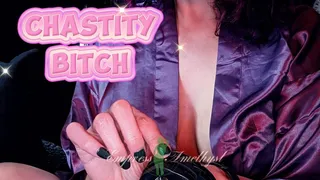Chastity Bitch