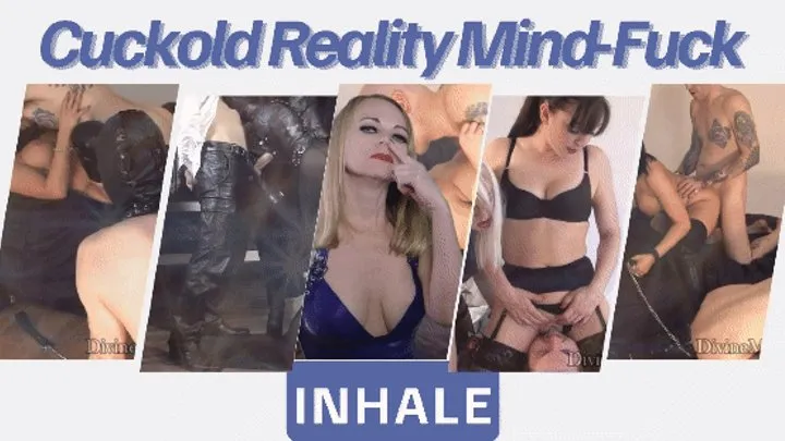 Cuckold Reality Mind-Fuck