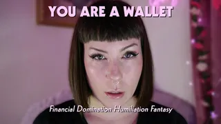 You Are A Wallet