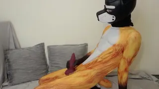 Knotty Fox plays with his rubber COCK SHEATH toy and CUMS twice