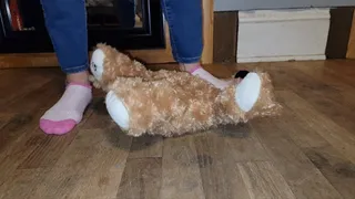 Sock trample teddy bear