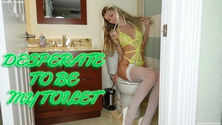 Desperate To Be My Toilet