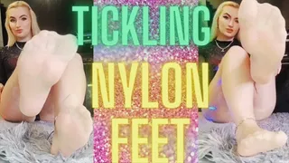 (11) TICKLING NYLON FEET