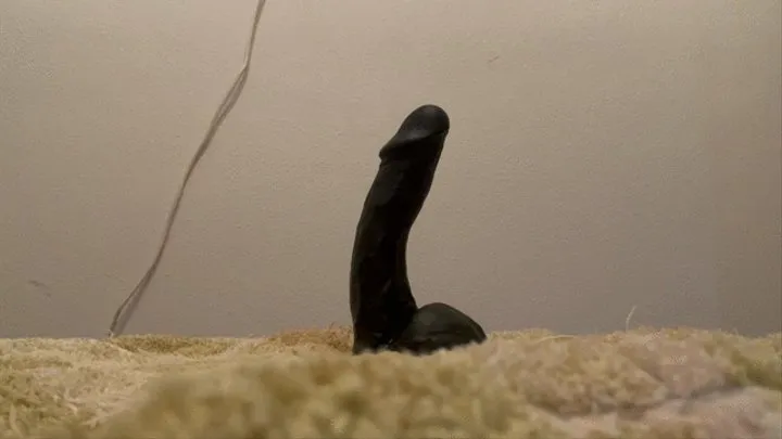 My 24 cm dildo