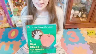 A new house for mouse