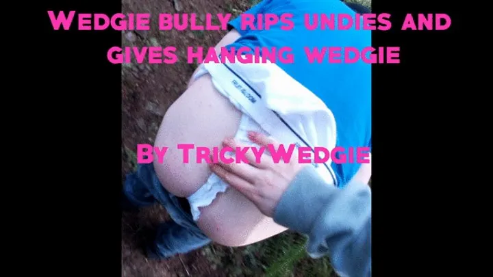 Wedgie Bully Rips Undies and Gives Hanging Wedgie