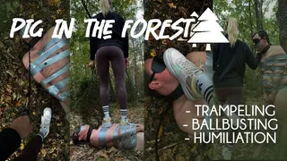 Pig in the Forest: Trampling, Ballbusting, Humiliation, Spit Fetish